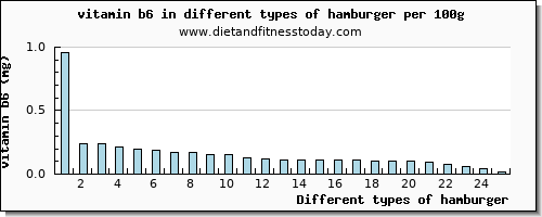 hamburger vitamin b6 per 100g